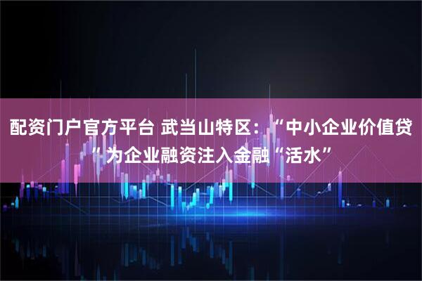 配资门户官方平台 武当山特区：“中小企业价值贷”为企业融资注入金融“活水”