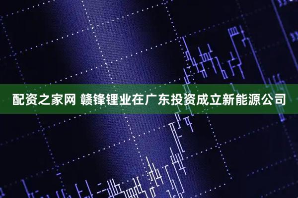 配资之家网 赣锋锂业在广东投资成立新能源公司